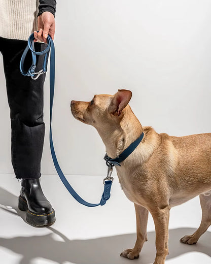 Waterproof Dog Collar