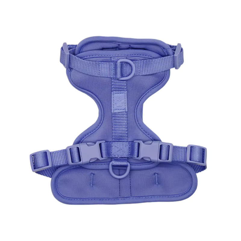 Cushioned Dog Harness