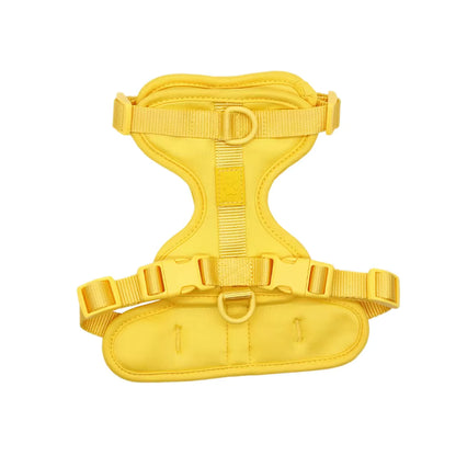 Cushioned Dog Harness