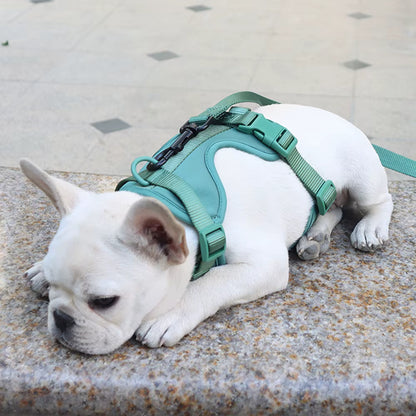 Cushioned Dog Harness