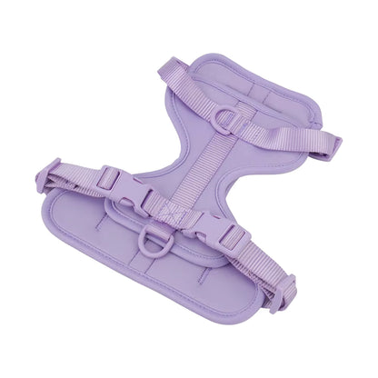 Cushioned Dog Harness